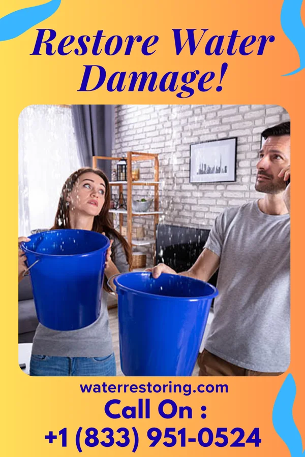 water restoration Stellar Flood Damage Professionals Ducktown