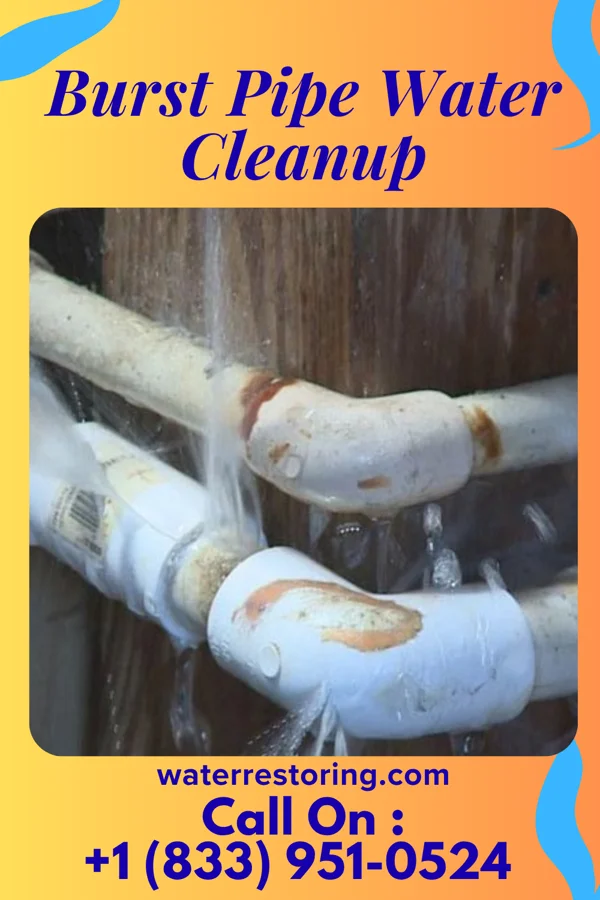Burst Pipe Water Cleanup in Ducktown, TN