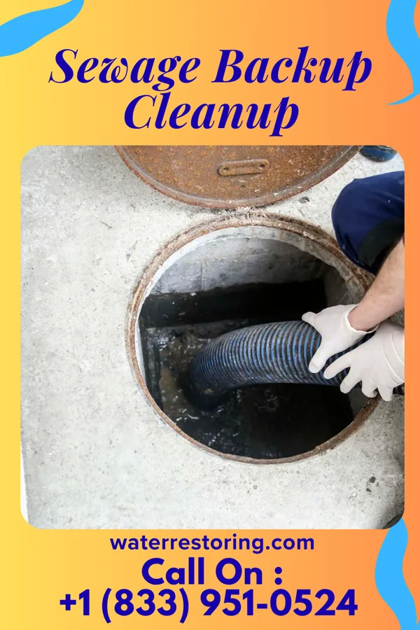 Sewage Backup Cleanup in Ducktown, TN