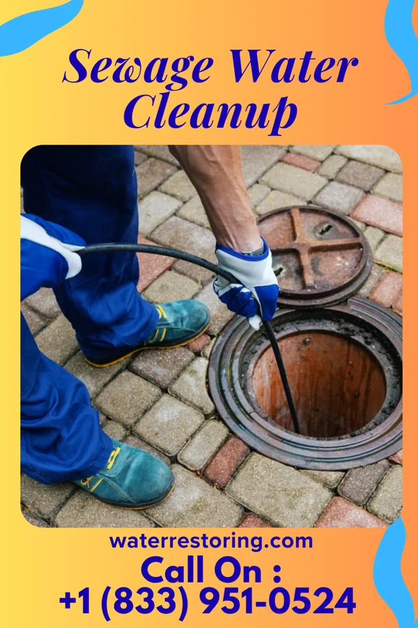 Sewage Water Cleanup in Ducktown, TN